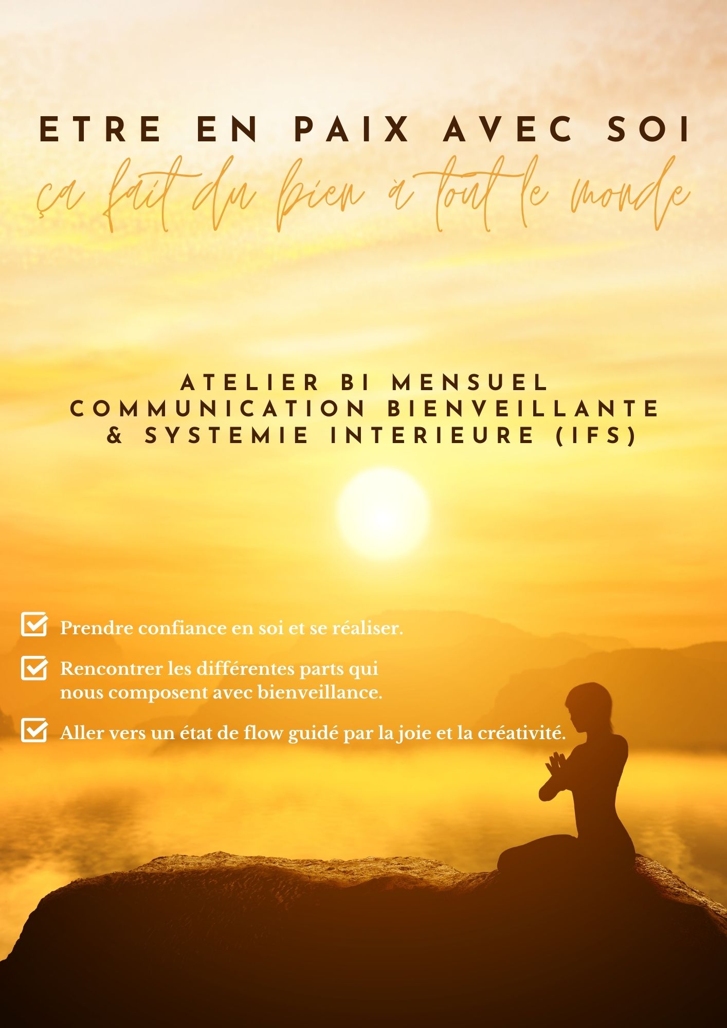 Artisans de la Paix IFS et CNV